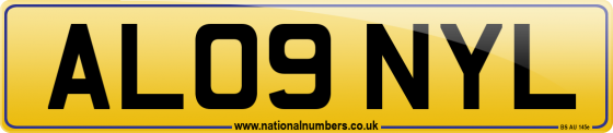 AL09 NYL