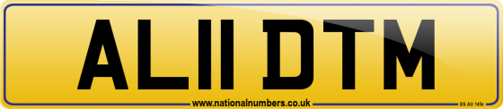 AL11 DTM
