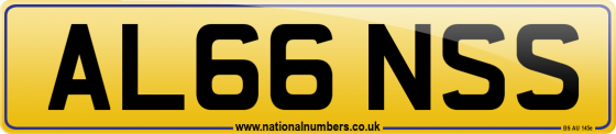 AL66 NSS