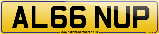 AL66 NUP