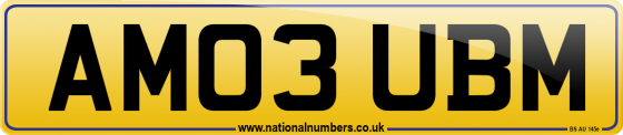 AM03 UBM