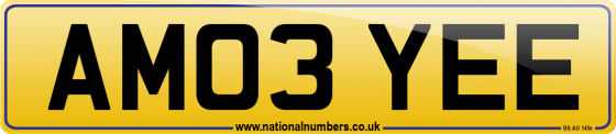 AM03 YEE