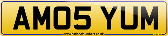 AM05 YUM