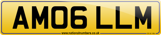 AM06 LLM