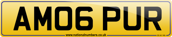 AM06 PUR