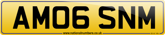 AM06 SNM