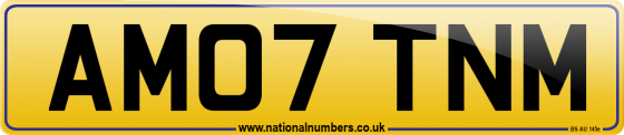 AM07 TNM
