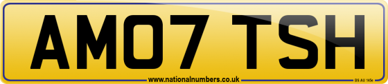 AM07 TSH