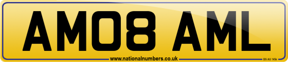 AM08 AML