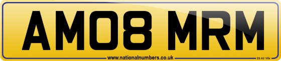 AM08 MRM