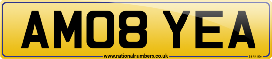 AM08 YEA
