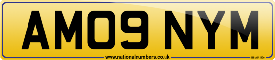 AM09 NYM
