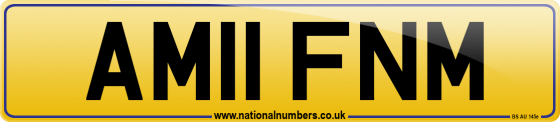 AM11 FNM