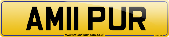 AM11 PUR
