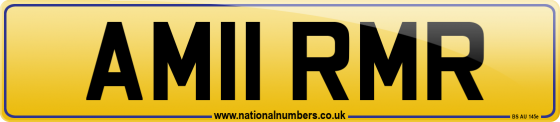 AM11 RMR