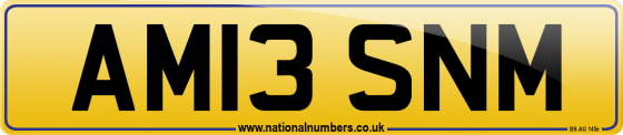 AM13 SNM