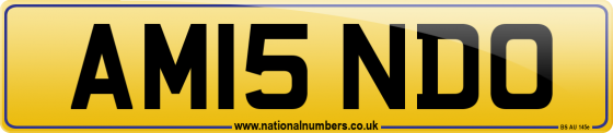 AM15 NDO