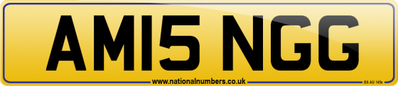 AM15 NGG