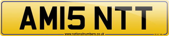 AM15 NTT