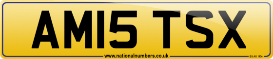 AM15 TSX