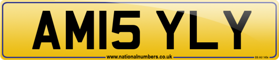 AM15 YLY