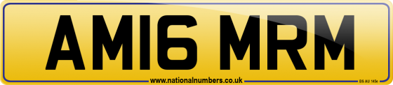 AM16 MRM