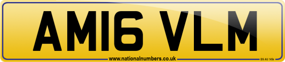 AM16 VLM