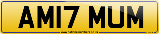 AM17 MUM