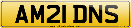 AM21 DNS