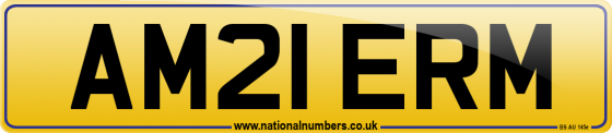 AM21 ERM
