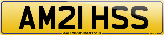 AM21 HSS