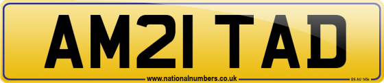 AM21 TAD