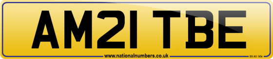 AM21 TBE