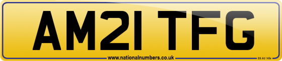 AM21 TFG