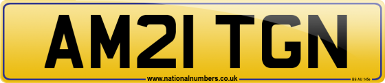AM21 TGN