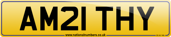 AM21 THY
