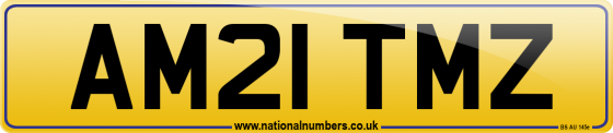 AM21 TMZ