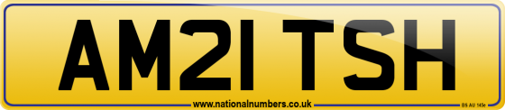 AM21 TSH