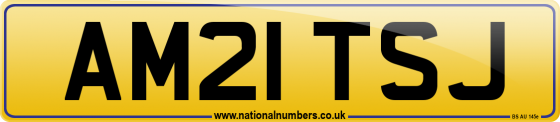 AM21 TSJ