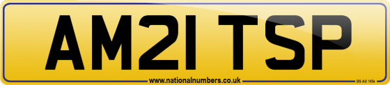 AM21 TSP