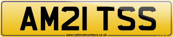 AM21 TSS