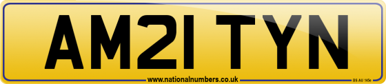 AM21 TYN