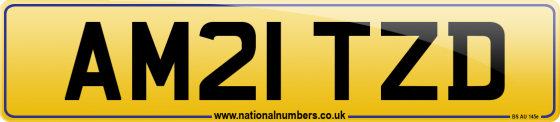AM21 TZD