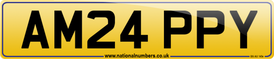 AM24 PPY