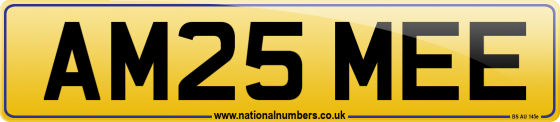 AM25 MEE