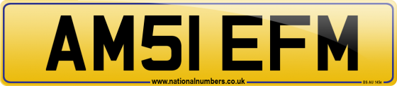 AM51 EFM