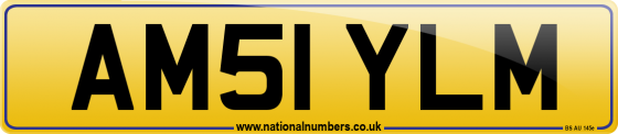 AM51 YLM