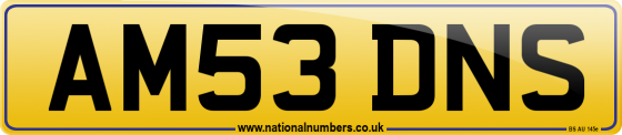 AM53 DNS