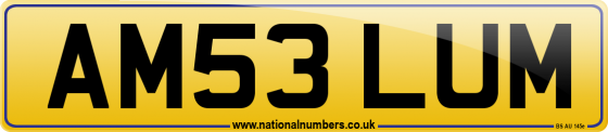 AM53 LUM