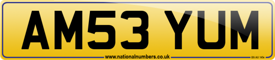 AM53 YUM
